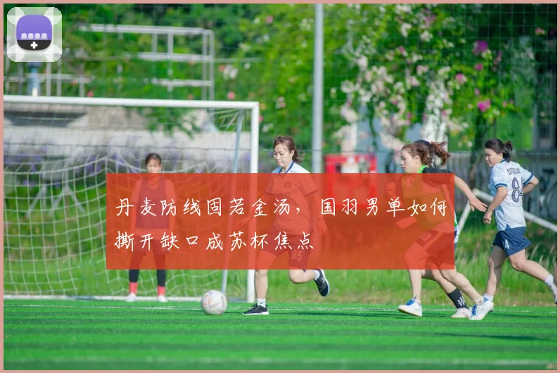 丹麦防线固若金汤，国羽男单如何撕开缺口成苏杯焦点