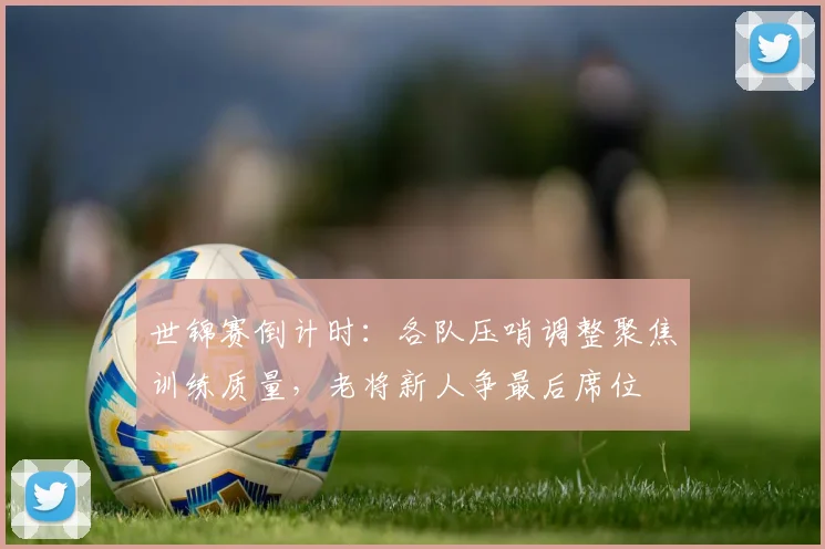 世锦赛倒计时:各队压哨调整聚焦训练质量,老将新人争最后席位